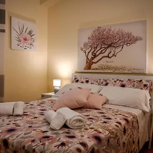 Balconcino Sugli Ulivi Bed and breakfast