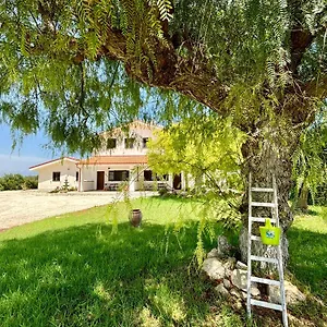  Apartment Andrea San Lorenzo